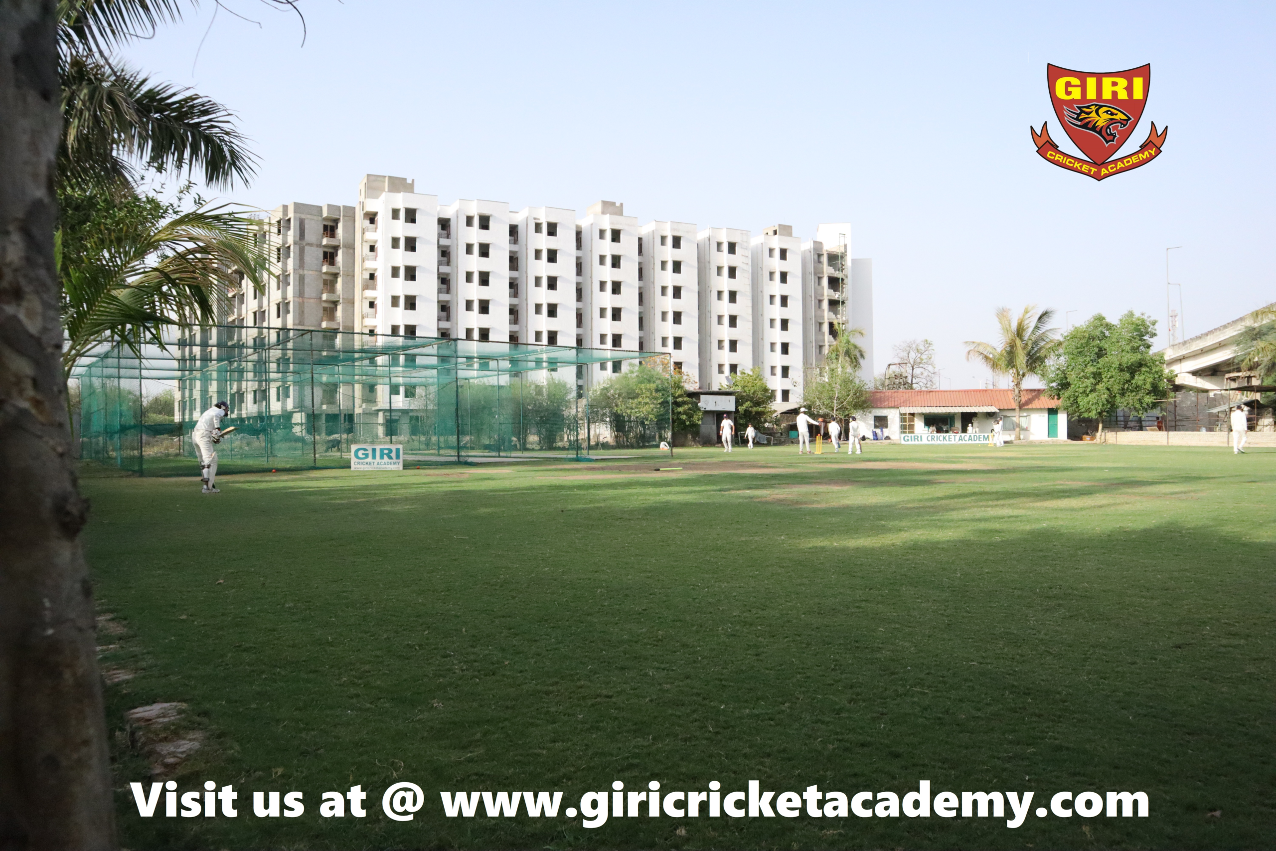 cricket academy near me